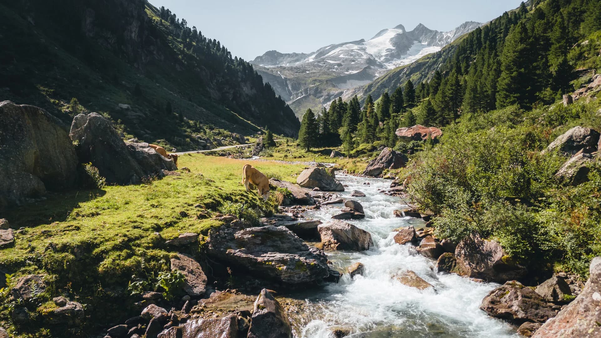 Wald im Pinzgau — ruhiges Bergdorf am Eingang zum Nationalpark